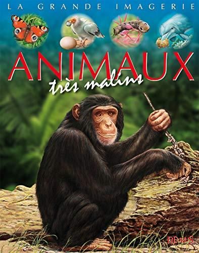 Animaux tres malins