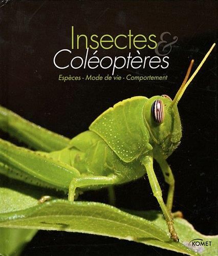 Insectes & coleopteres