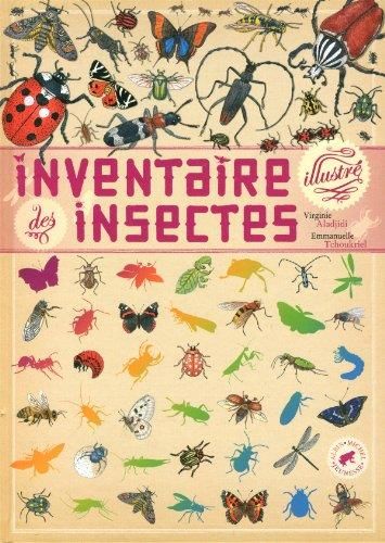 Inventaire des insectes