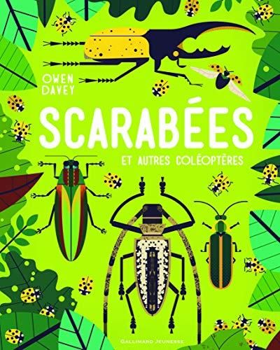 Scarabees
